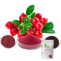 Cranberry-Extrakt Cranberry-Pulver-Extrakt 100g