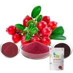 Cranberry-Extrakt Cranberry-Pulver-Extrakt 250g